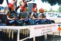 Dancers Performing at the Multicultural Exchange Project