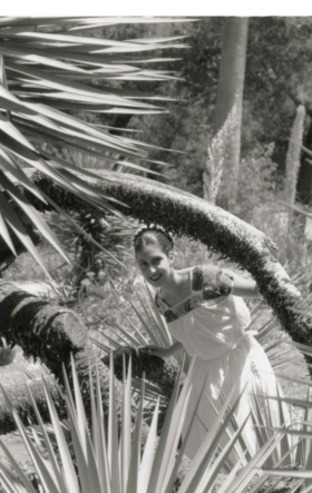 Promotional Photographs of Raices de Mexico at Stanford